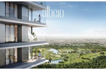 Albero