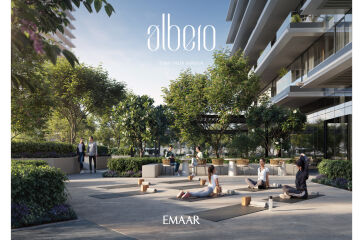 Albero